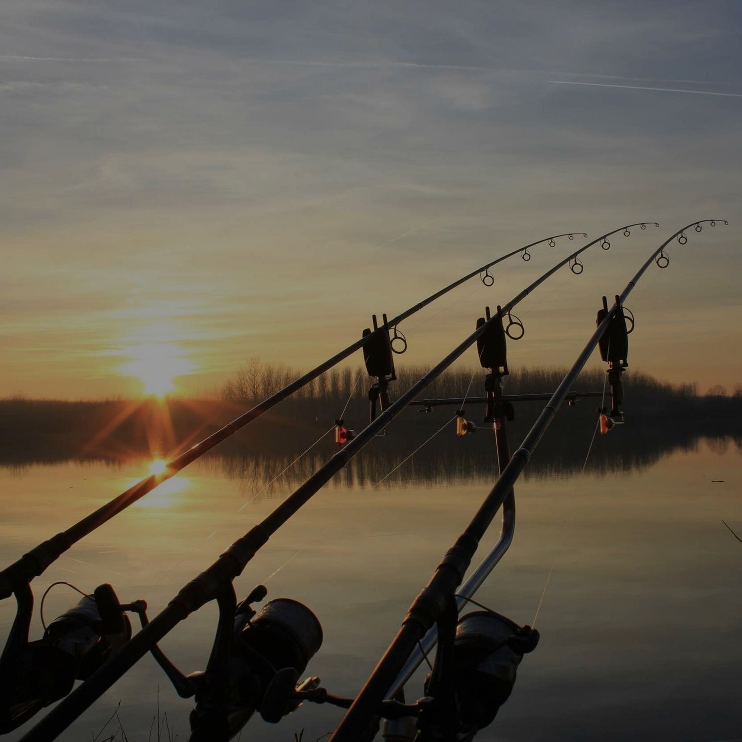 Rods & Reels (POR)